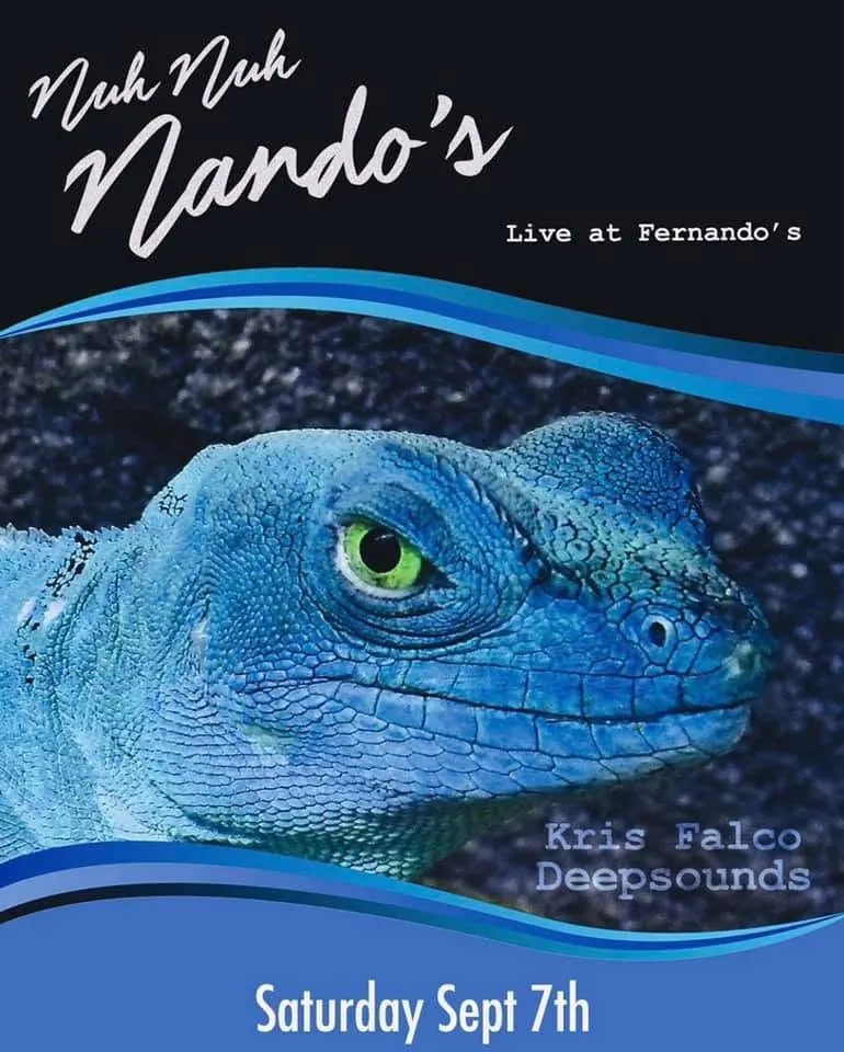 Nuh Nuh Nando's live at Fernando's poster with Kris Falco and Deepsounds